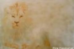 img_1287490627_17