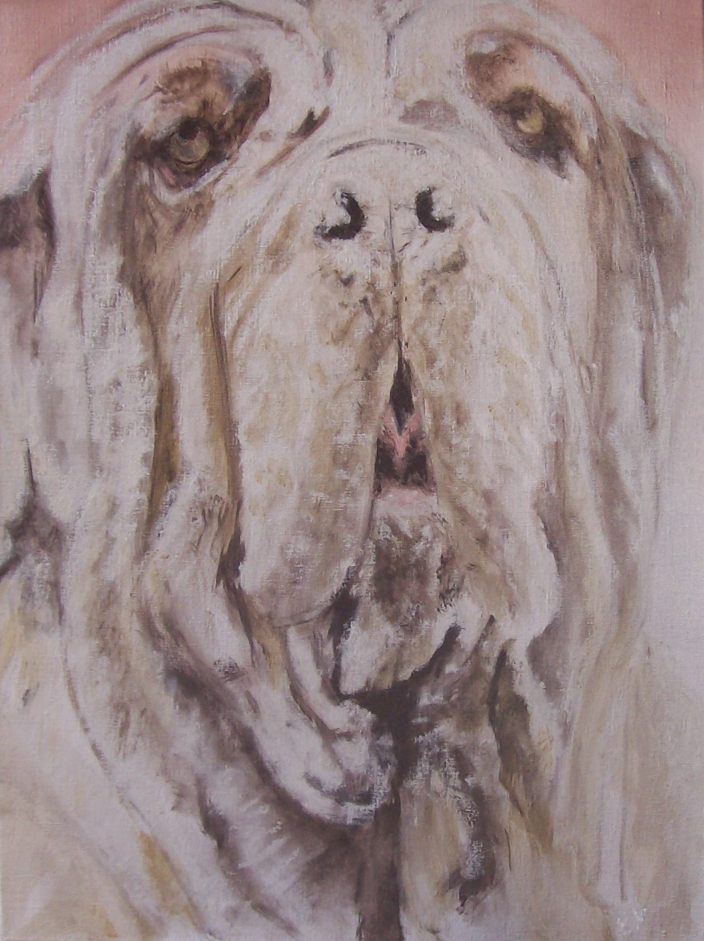 Mastino Napolitano - Afbeelding 2