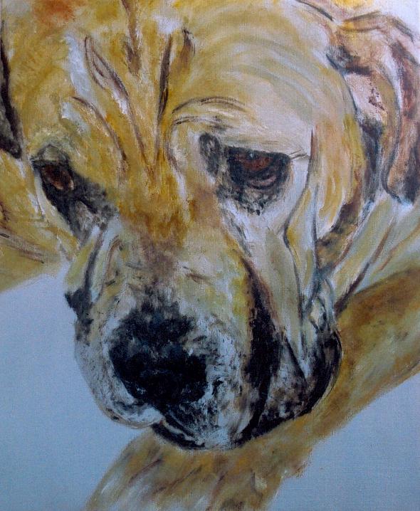Boerboel - Afbeelding 2